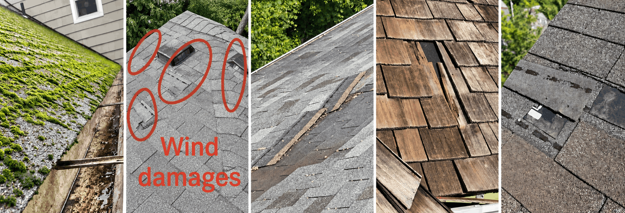 Roof shingles with moss growth, holes, and missing sections from wind damage