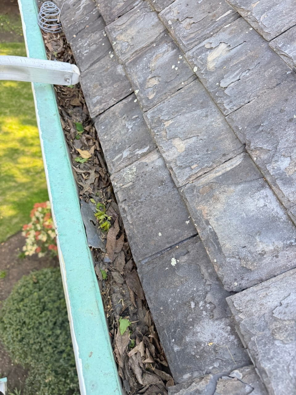 Clogged Gutter — Weeds Growing