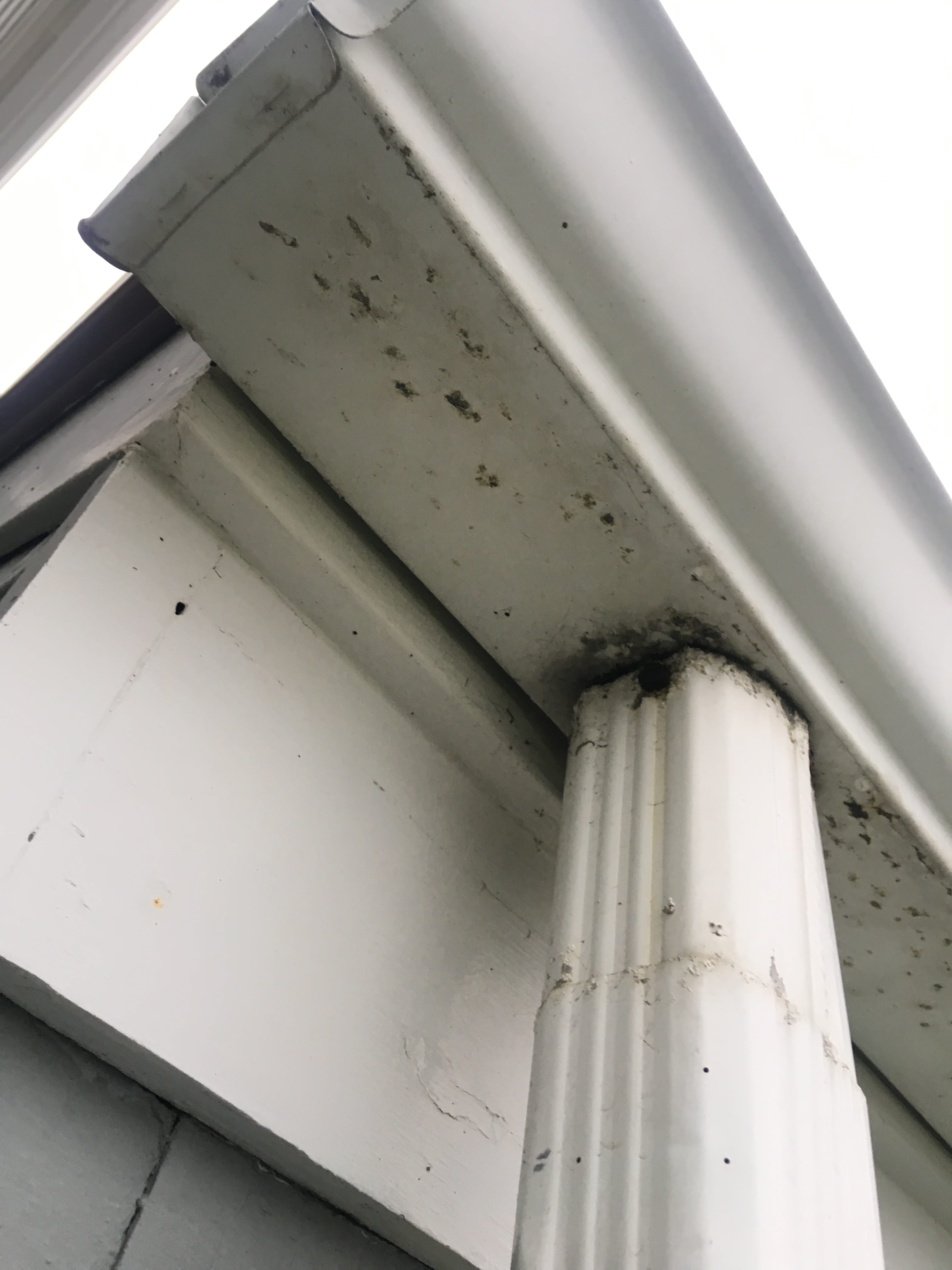 Failed downspout joint connection with mold staining on fascia board — common source of hidden water damage