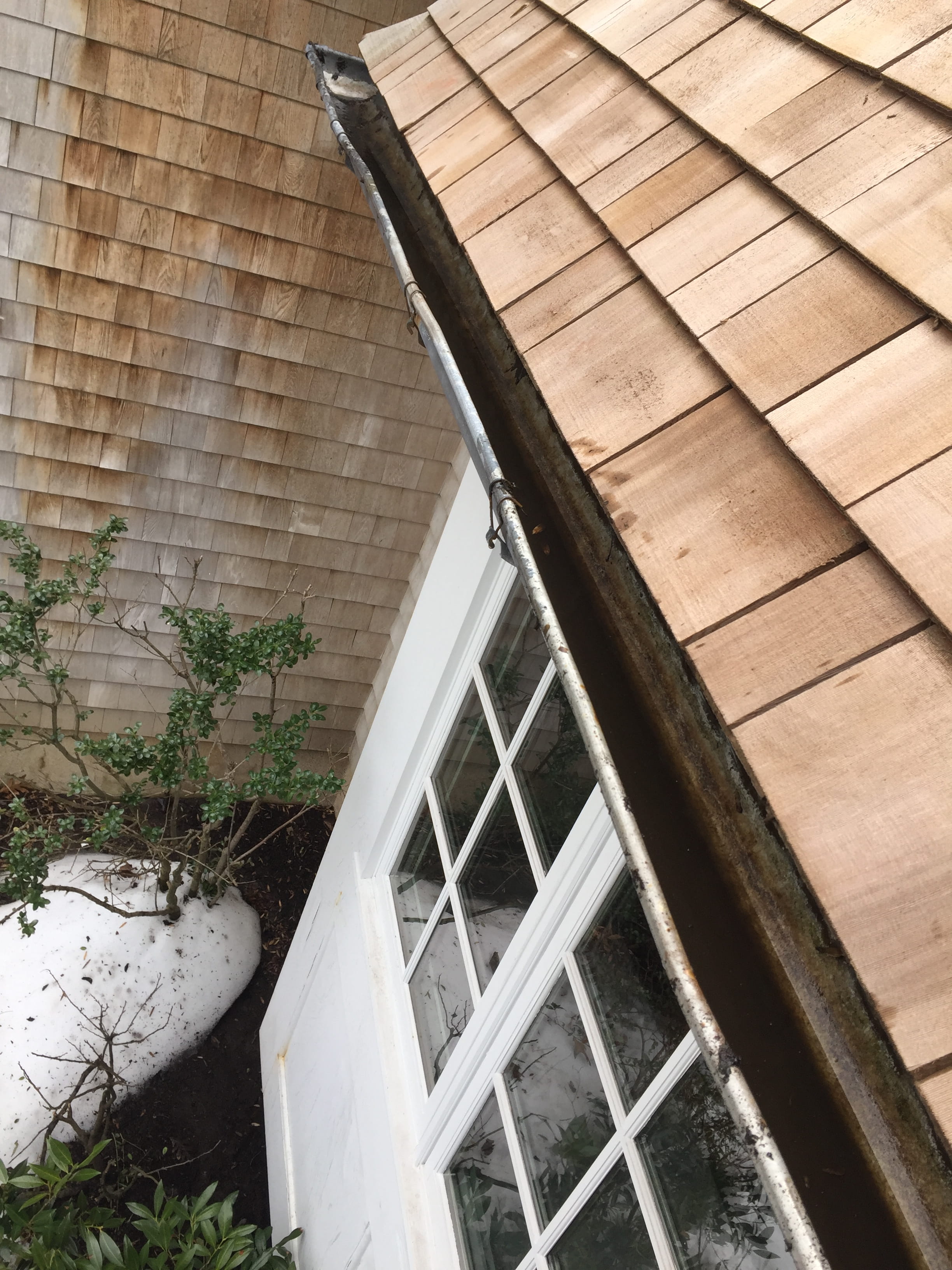 Severely sagging gutter pulling away from cedar shingle fascia — gutter detached along full roofline