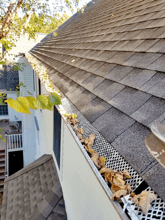 Dried leaves and debris collected on top of a gutter guard system showing why guards still need maintenance