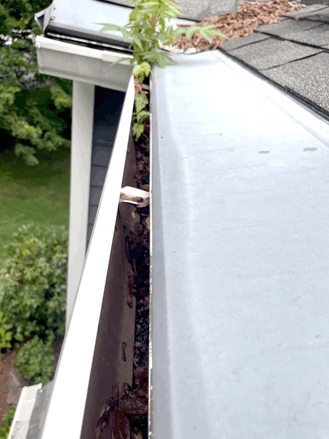 Weed & Plant Growth Removal — Seasonal Gutter Guards Maintenance by New England Gutters in Connecticut & Westchester