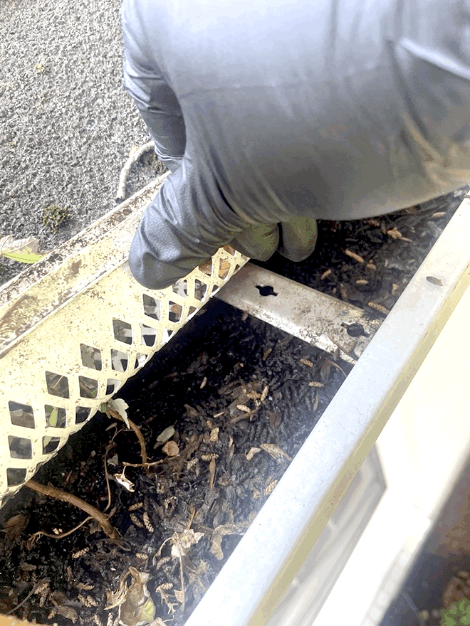 Hand-Cleaning Heavy Debris Buildup — Seasonal Gutter Guards Maintenance by New England Gutters in Connecticut & Westchester