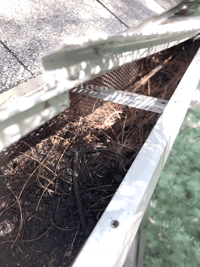 Pine needle and sludge removal from gutters during seasonal maintenance