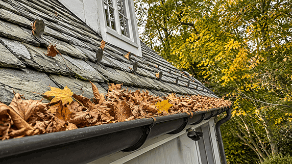 Gutters in Fall