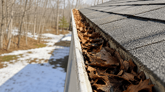 Gutters in Late Fall