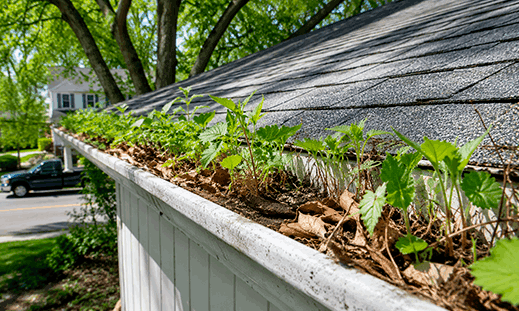 Gutters in Spring